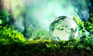 Consultatie besloten vennootschap met maatschappelijk doel (BVm) gestart