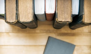 Partneralimentatie in ontwikkeling